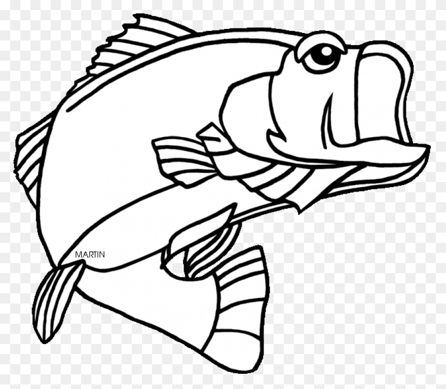 Bass Fish Coloring Pages Fish Bass 