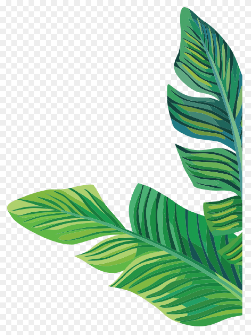 Plate Clipart Banana Leaf - Cartoon