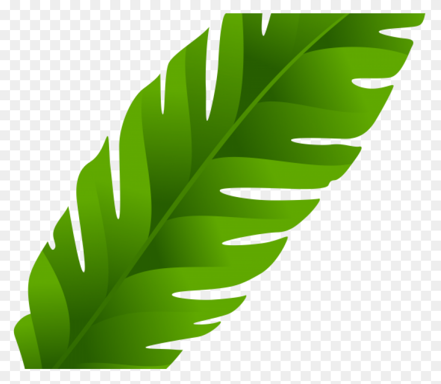 Plate Clipart Banana Leaf - Cartoon