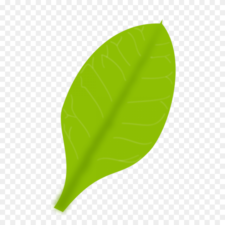Plate Clipart Banana Leaf - Cartoon