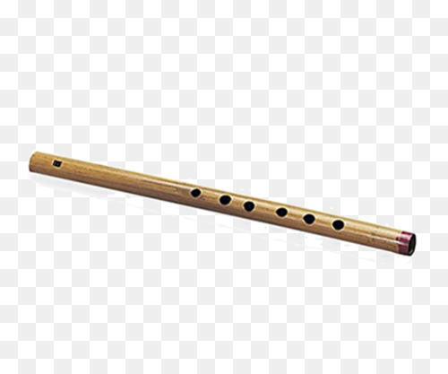 Home - Bansuri School