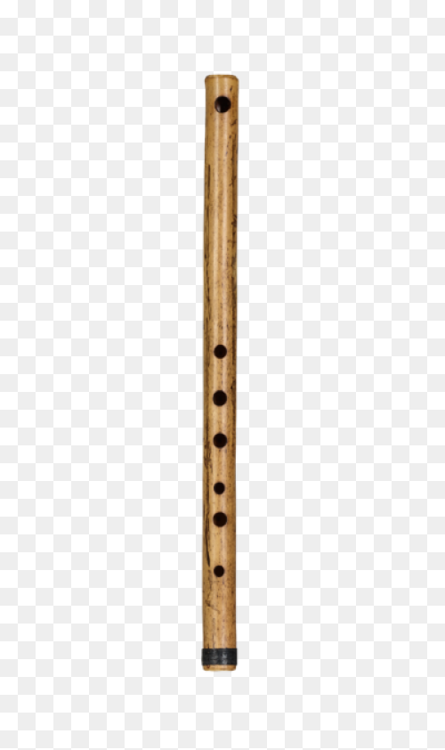 Home - Bansuri School