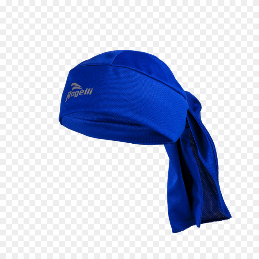 The North Paw Bandana