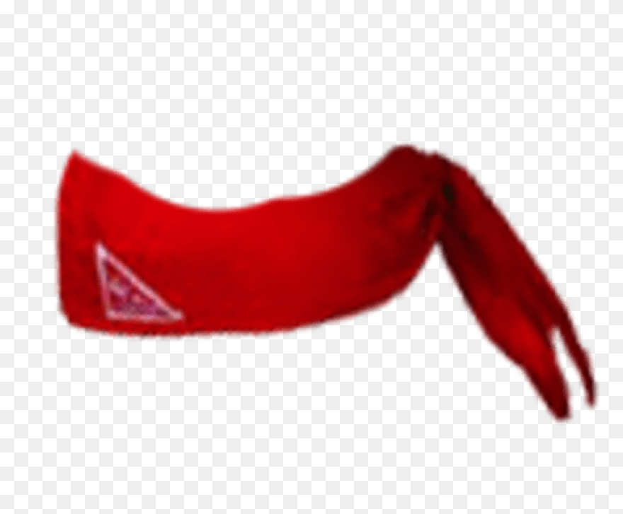 The North Paw Bandana
