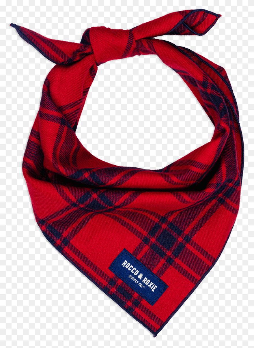 The North Paw Bandana