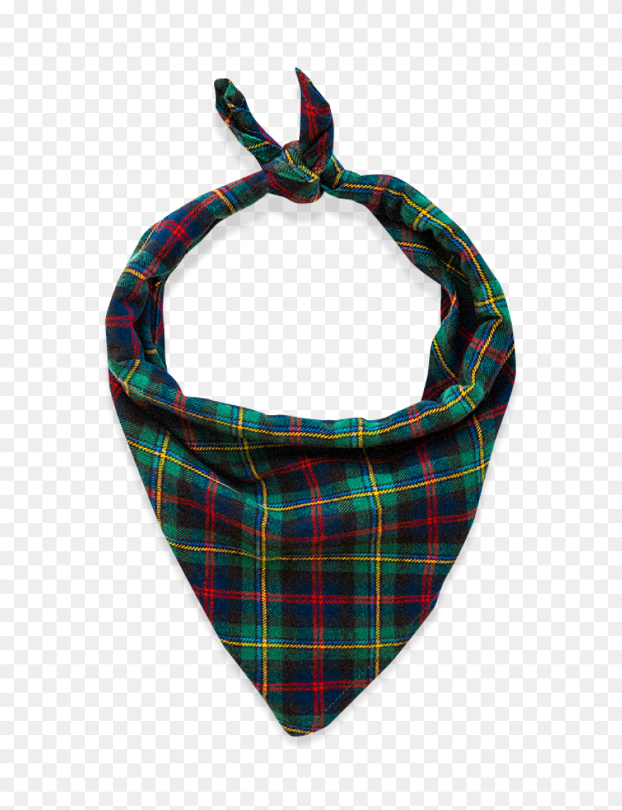 The North Paw Bandana - Bandana
