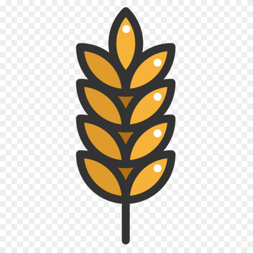 Download Cornfield Drawing Barley F
