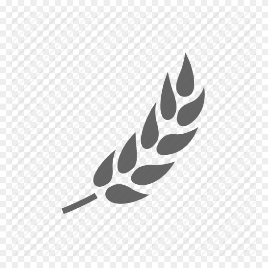 Download Cornfield Drawing Barley F