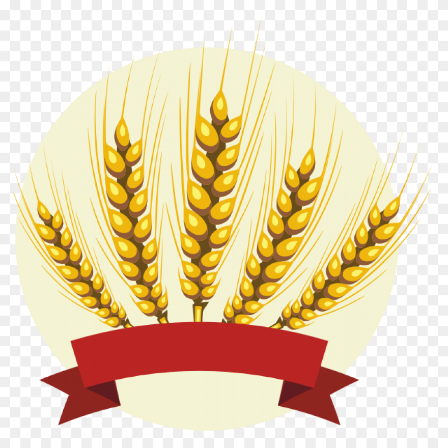 Download Cornfield Drawing Barley F