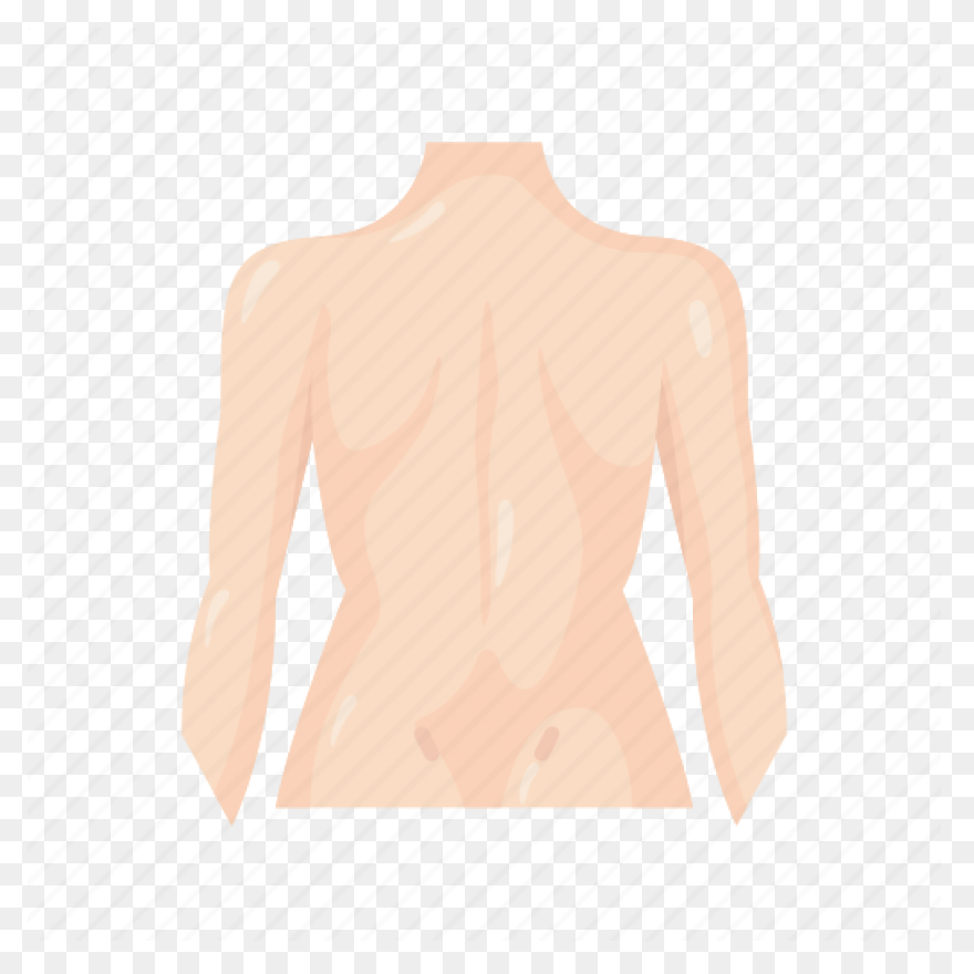 Anatomy Back Back Body Body - Back