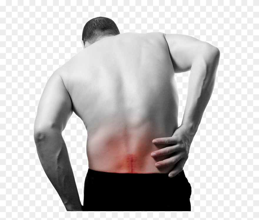 Anatomy, Back, Back Body, Body, Fem
