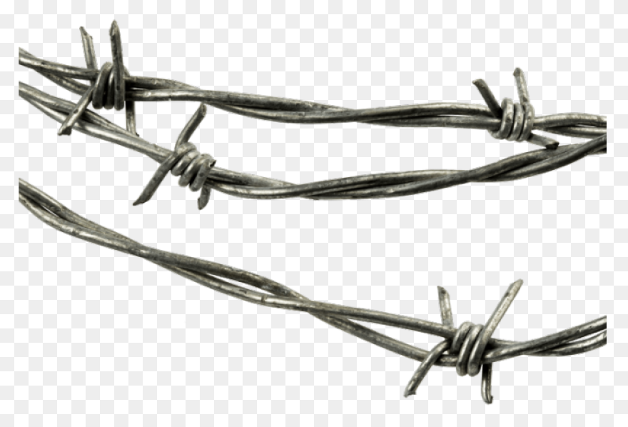 Free Image On ClipartFlare - Barb, 