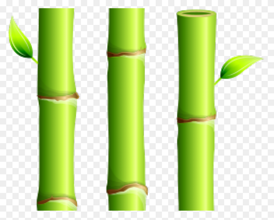 Family Bamboo Plant Stem Grass Fami