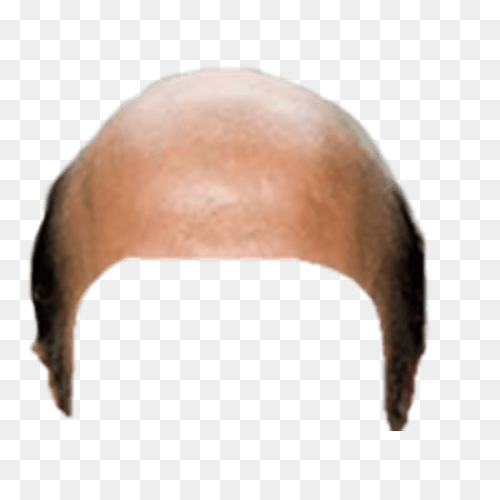 Bald Head Clipart. Free Download Tr