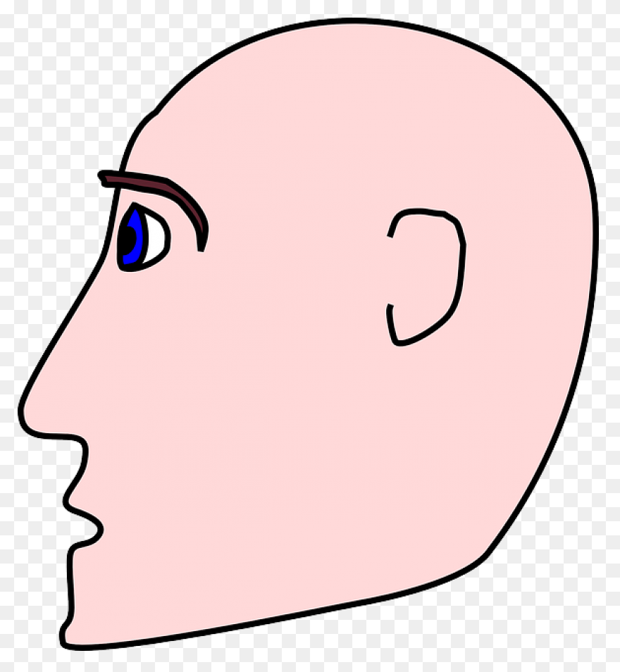 Bald Head Clipart. Free Download Tr
