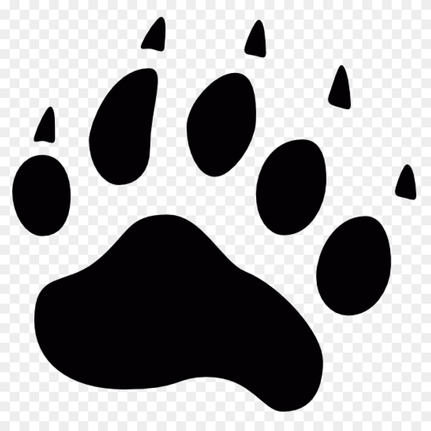 Bear Paw | Bear Paw Print, Bear Tat