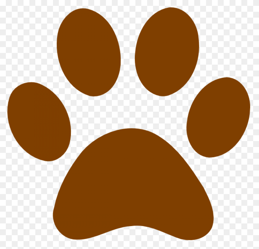 Bear Paw | Bear Paw Print, Bear Tat