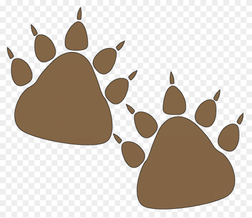 Bear Paw | Bear Paw Print, Bear Tat
