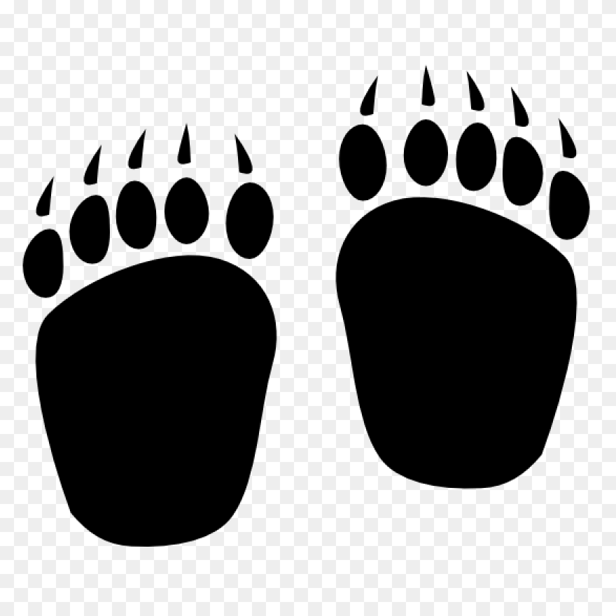 Bear Paw Prints Sticker - Bear Paw
