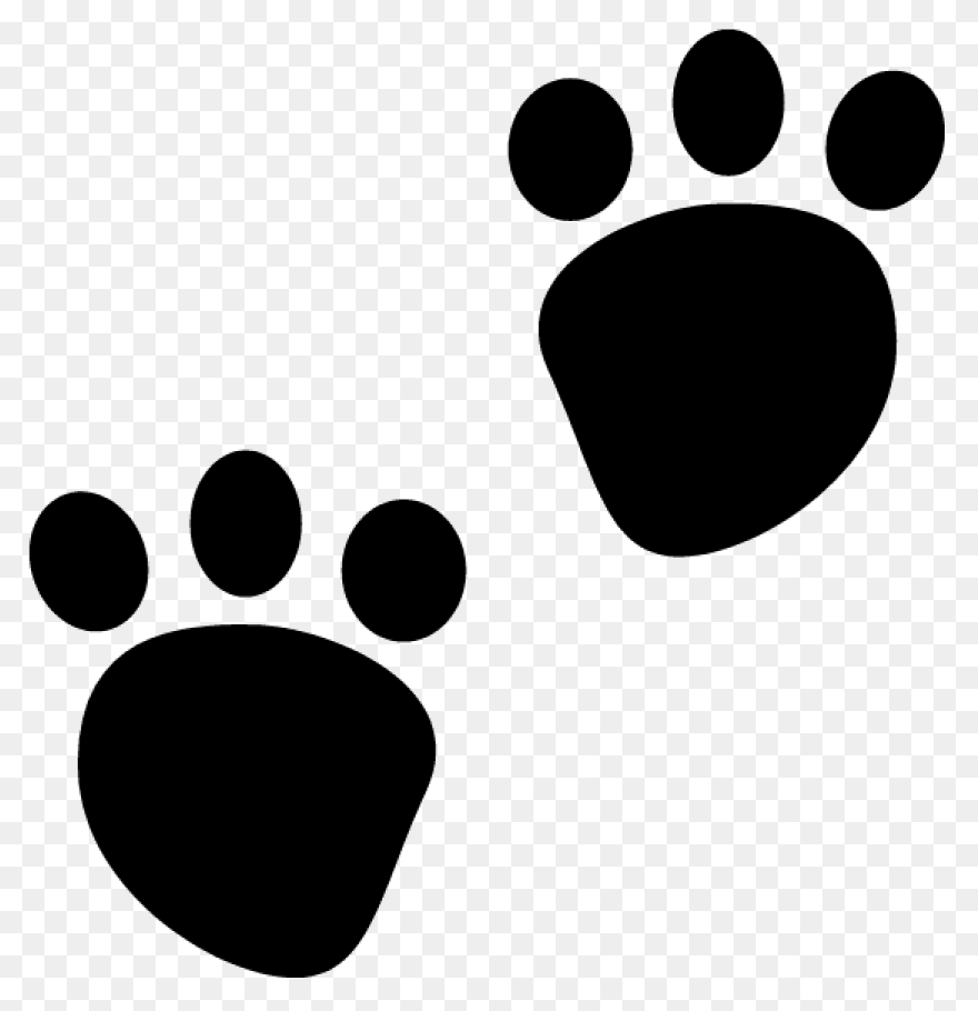 Bear Paw | Bear Paw Print, Bear Tat