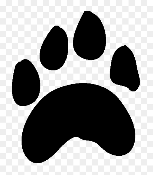 Bear Paw | Bear Paw Print, Bear Tat