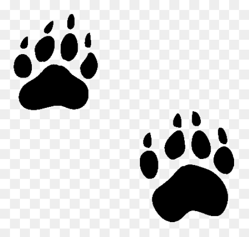 Bear Paw | Bear Paw Print, Bear Tat