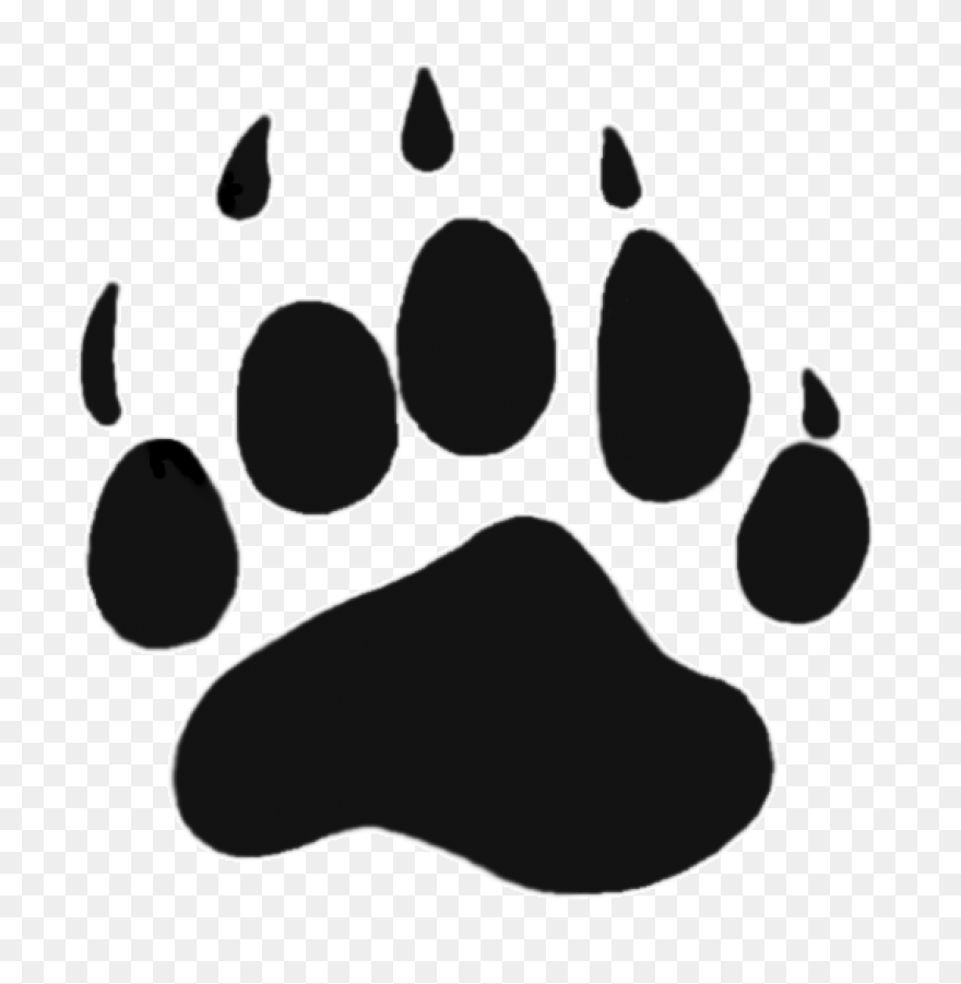 Bear Paw | Bear Paw Print, Bear Tat