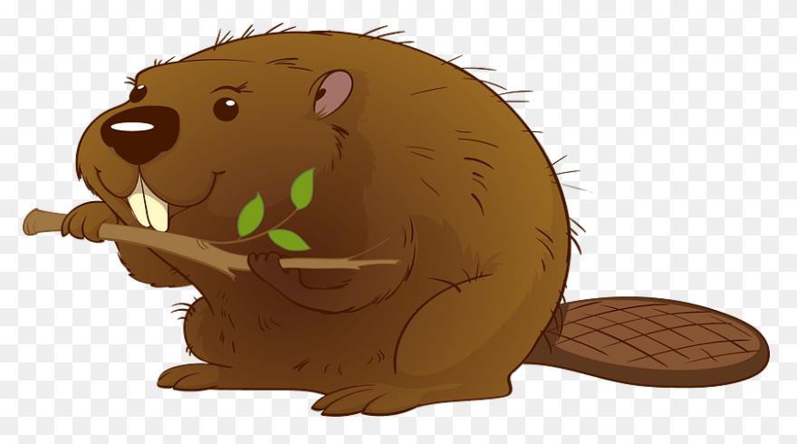 Beaver (#4) - Openclipart
