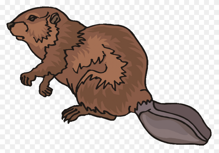 Beaver (#4) - Openclipart