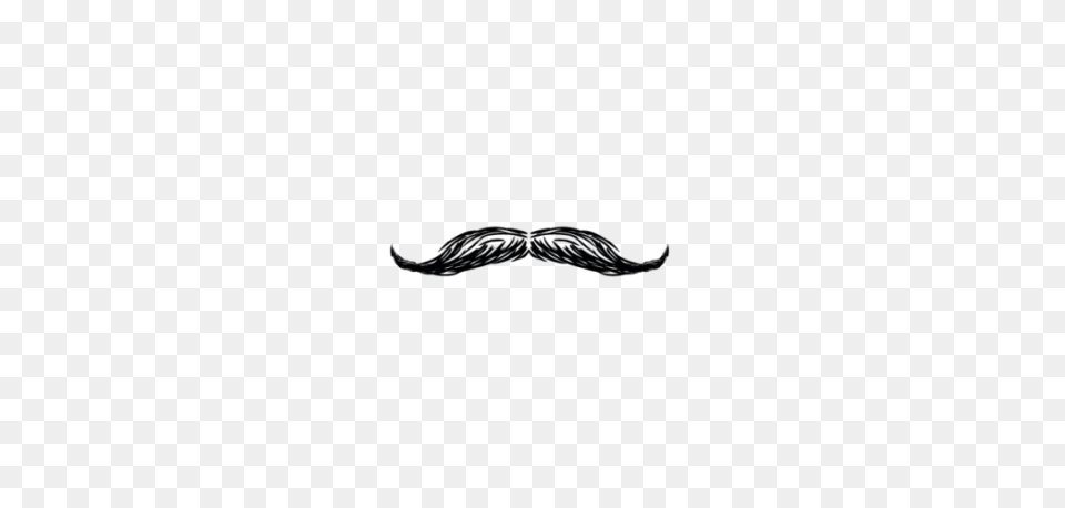 520 Top Beard Styles Ideas In 2021 