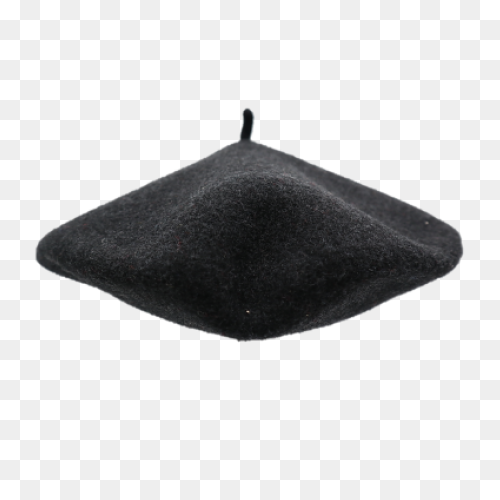 Store:french Hat Beret | Brick Plan