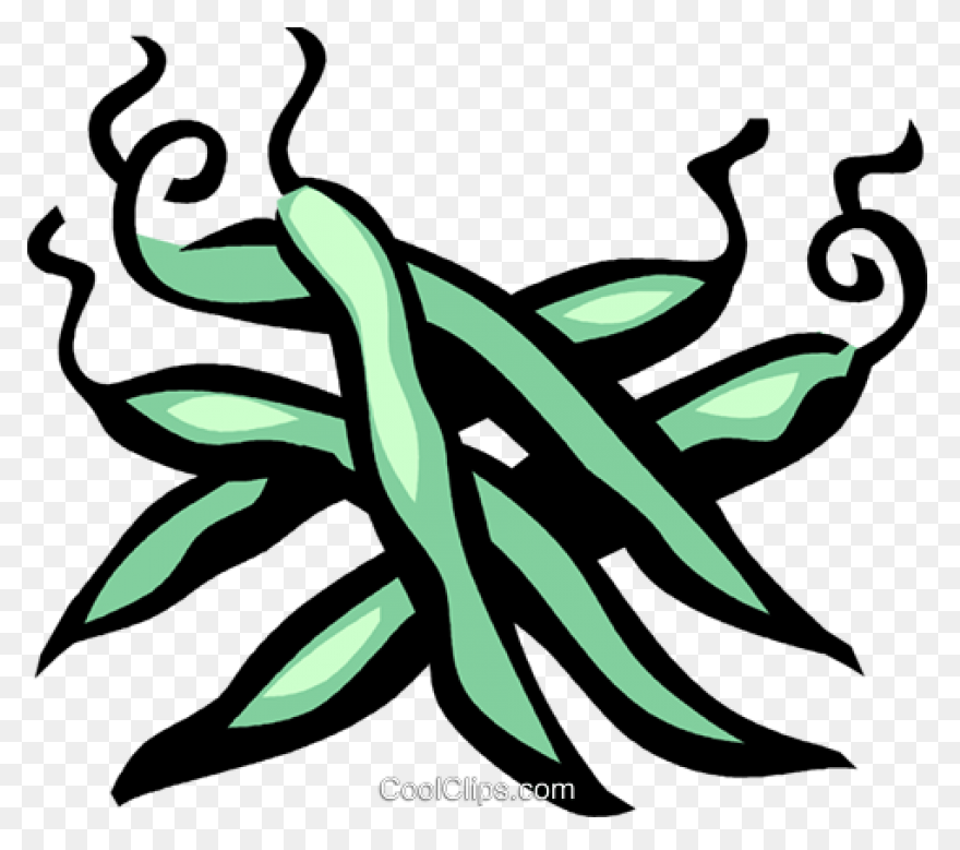 Green Beans Royalty Free Vector Cli