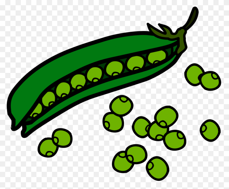 Green Beans Royalty Free Vector Cli