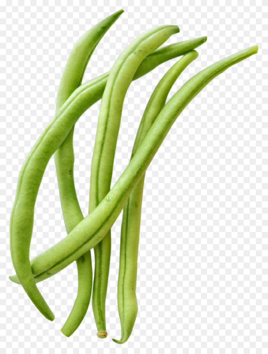 Green Beans Royalty Free Vector Cli