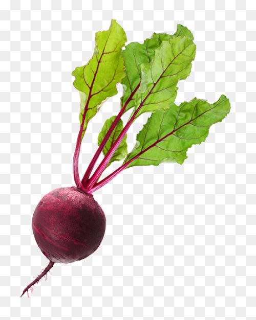 Beet, Beetroot, Beets, Leaves, Suga