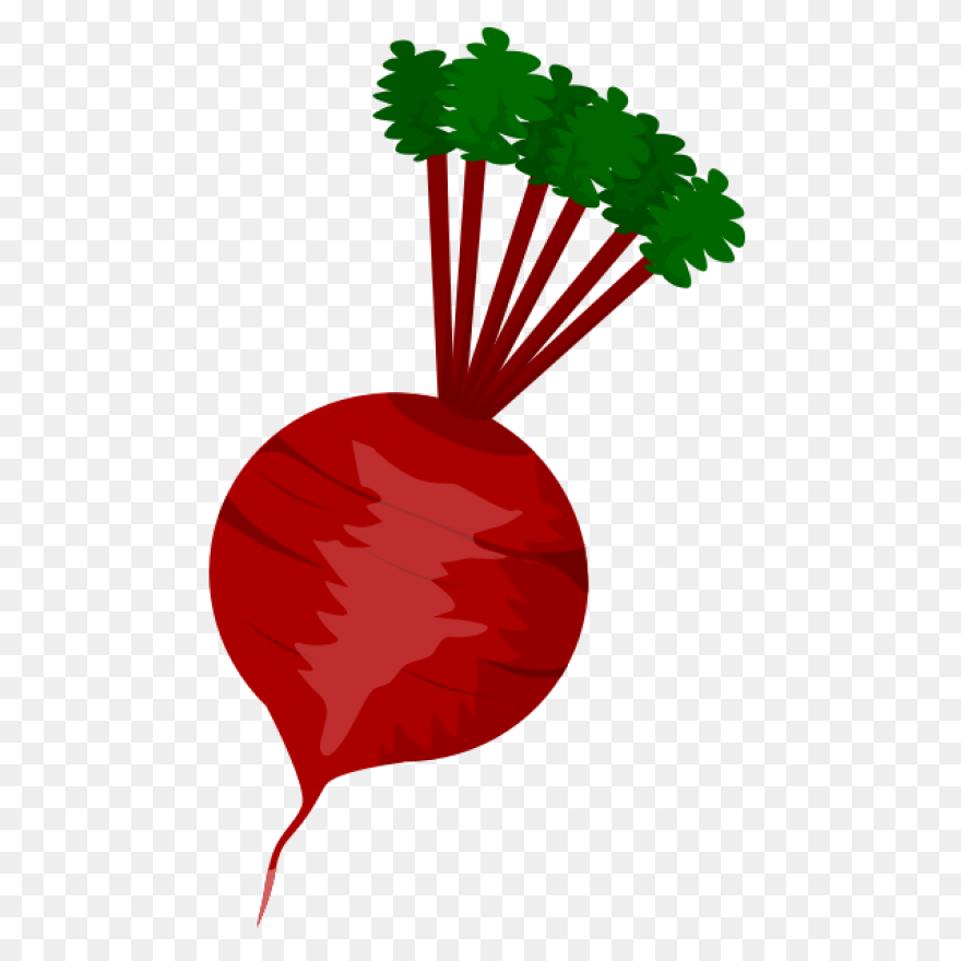 Beet, Beetroot, Beets, Leaves, Suga