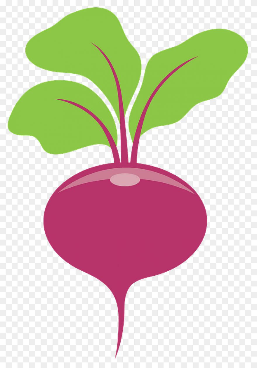 Beet, Beetroot, Beets, Leaves, Suga