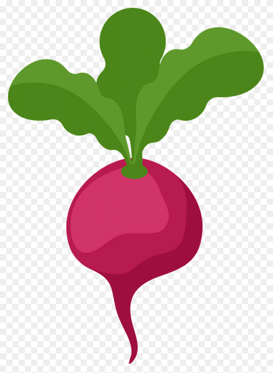 Beet, Beetroot, Beets, Leaves, Suga