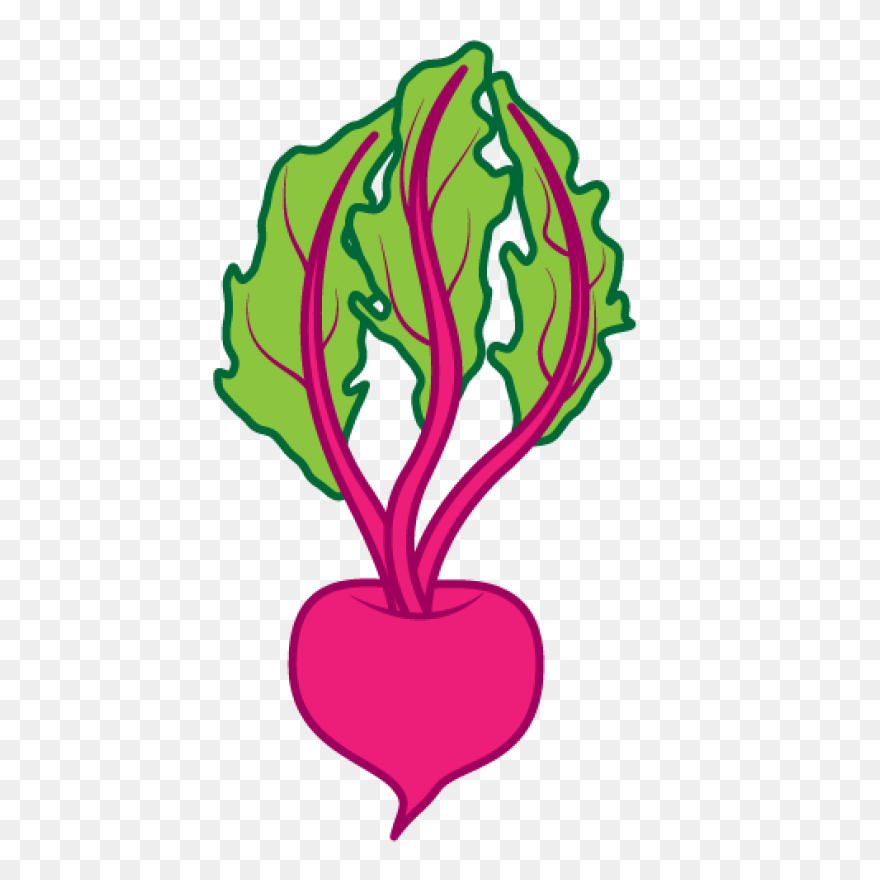 Beet, Beetroot, Beets, Leaves, Suga