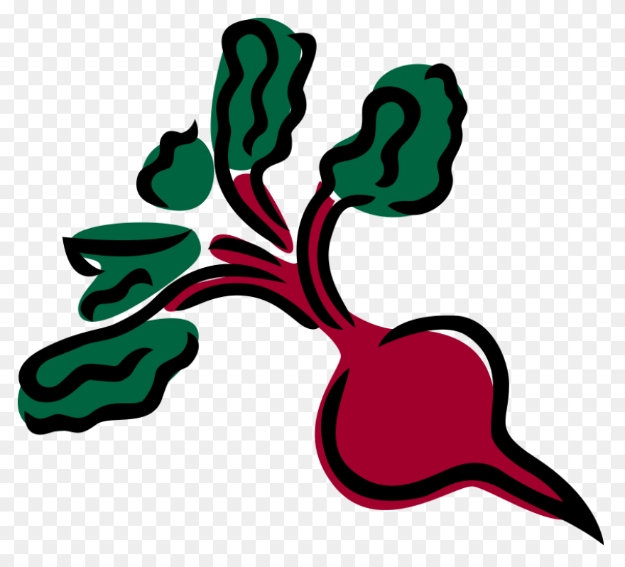 Beet, Beetroot, Beets, Leaves, Suga