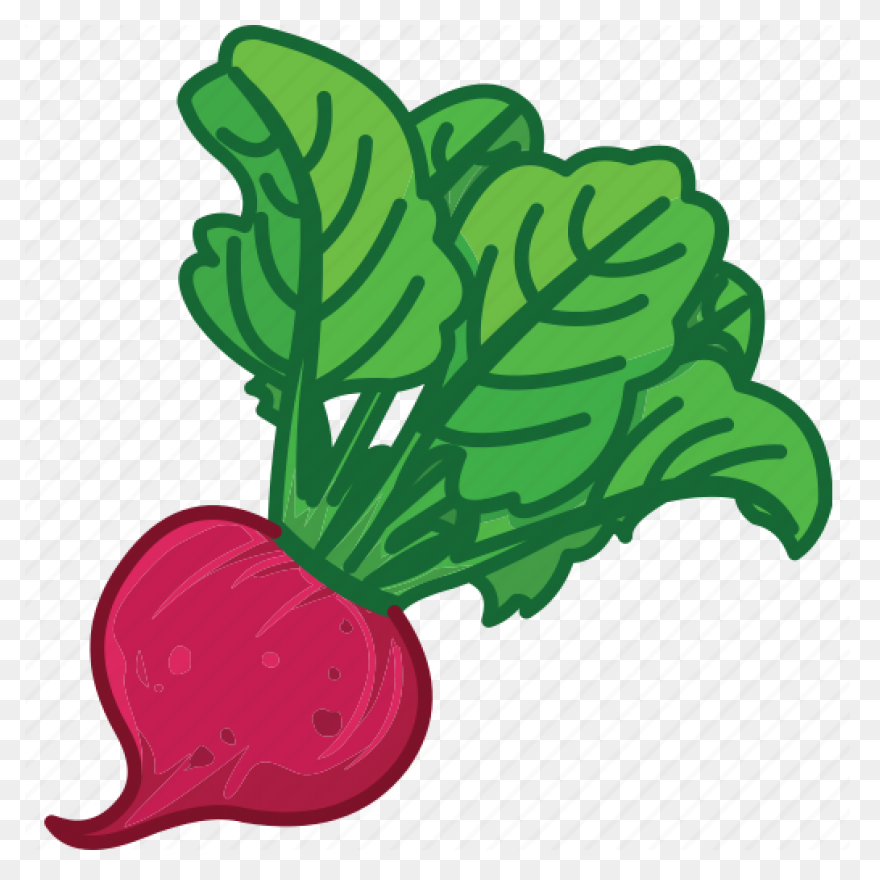 Beet, Beetroot, Beets, Leaves, Suga