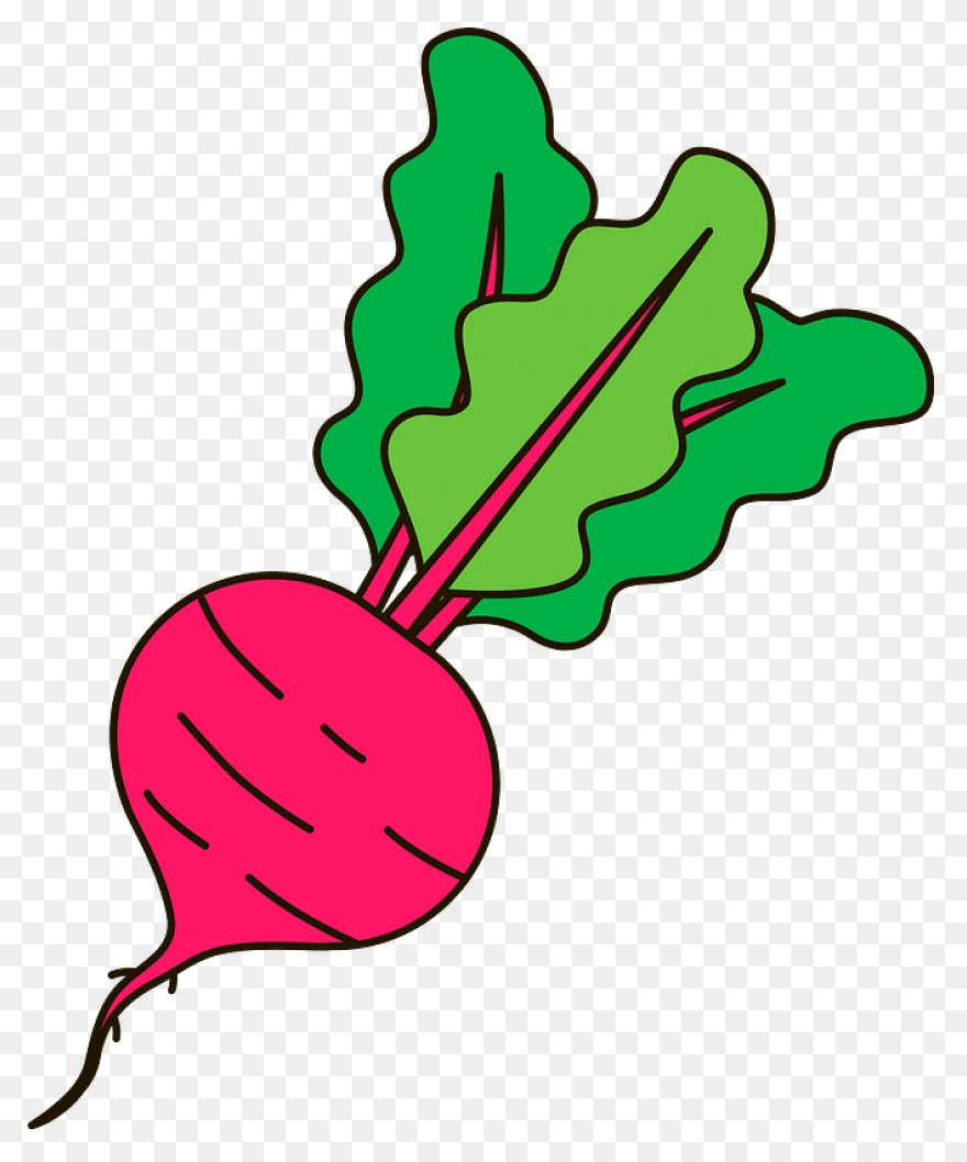 Beet, Beetroot, Beets, Leaves, Suga