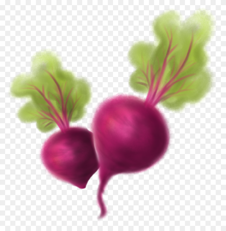 Beet, Beetroot, Beets, Leaves, Suga