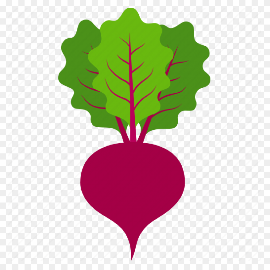 Beet Beetroot Beets Leaves Sugar - Beet