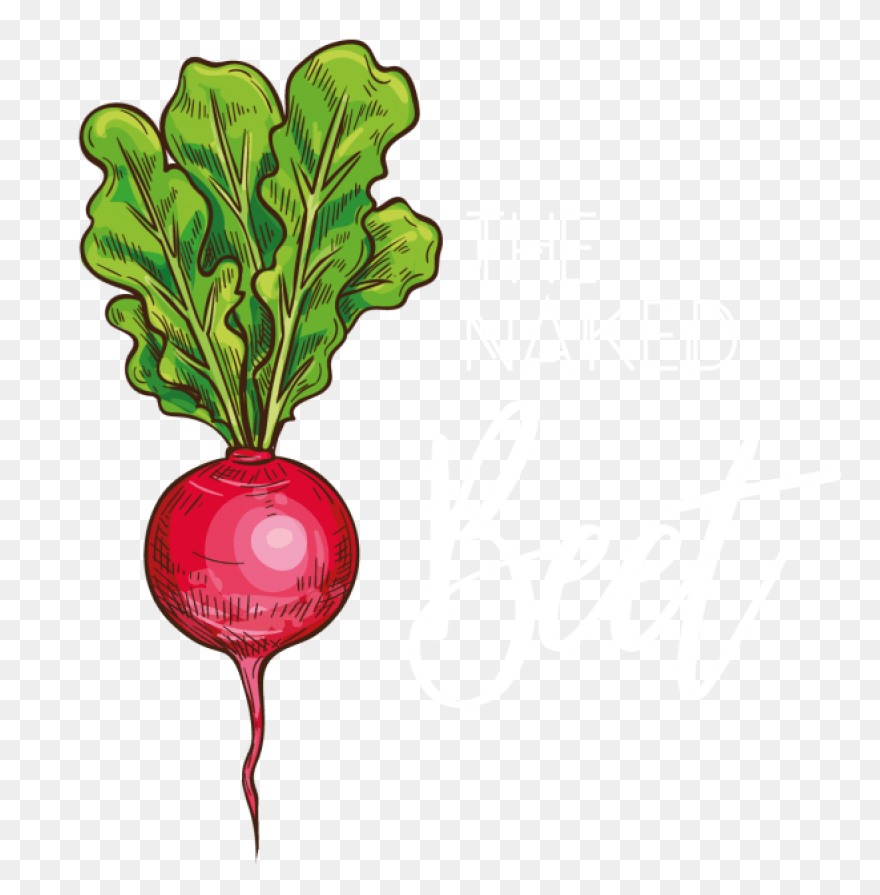 Beet, Beetroot, Beets, Leaves, Suga