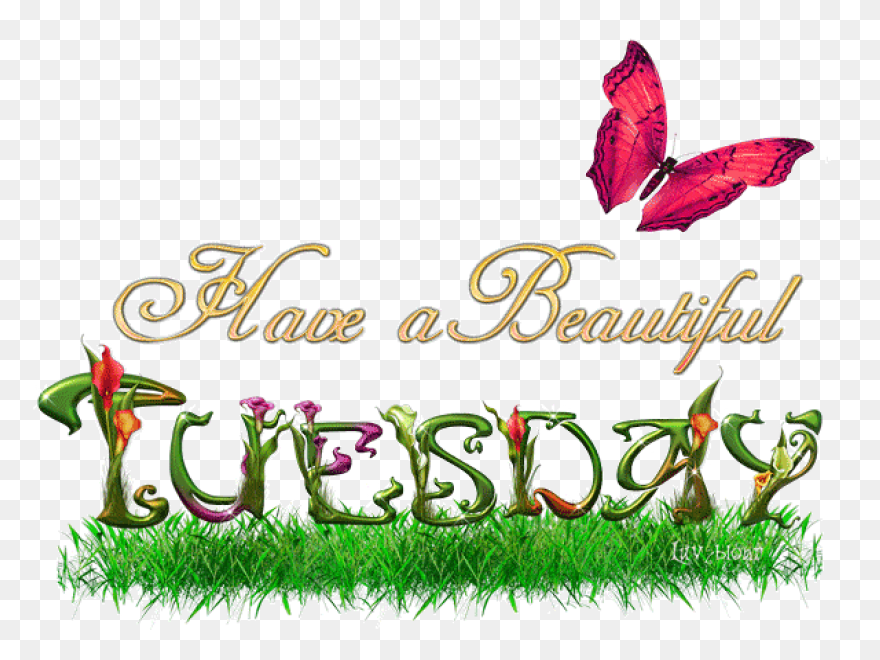 Free Best Wishes Cliparts, Download