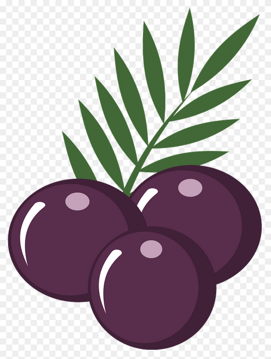 Wow™ Berries - Sunset Grown. All 