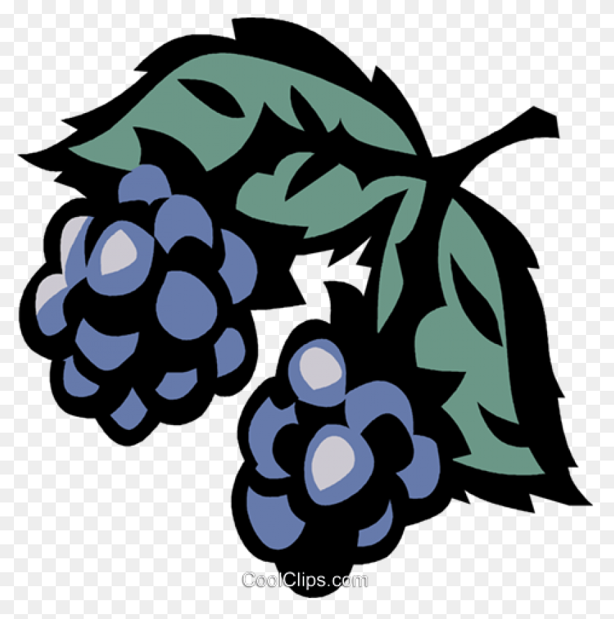 Wow™ Berries - Sunset Grown. All 