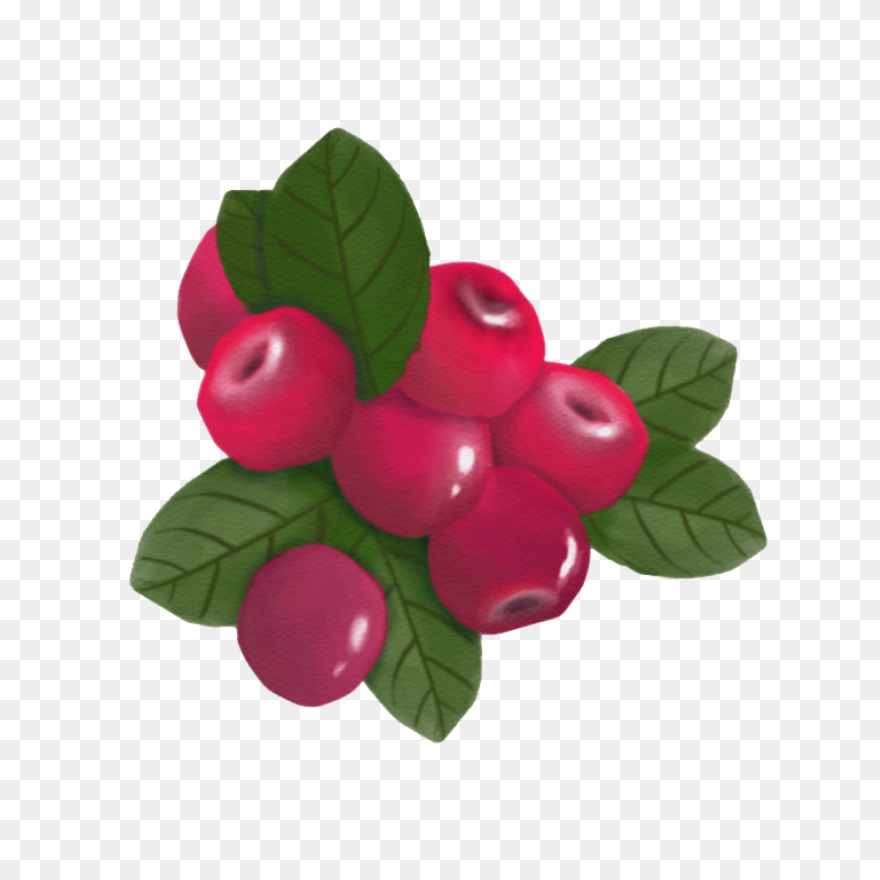 Wow™ Berries - Sunset Grown. All 