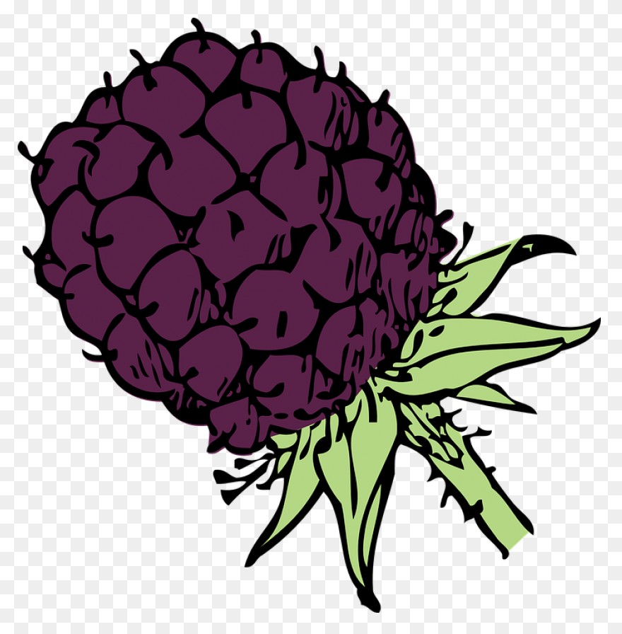 Wow™ Berries - Sunset Grown. All 